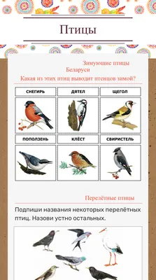 Говоруны": Зимующие птицы