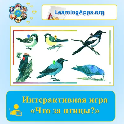 Пение и строение птиц worksheet | Live Worksheets