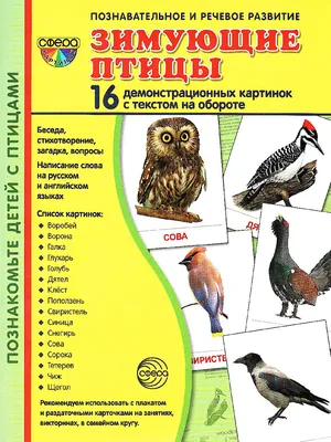 СИНИЦЫ, ВОРОБЬИ, СНЕГИРИ И ДРУГИЕ ЗИМУЮЩИЕ ПТИЦЫ | МАУ "Покров Медиа"