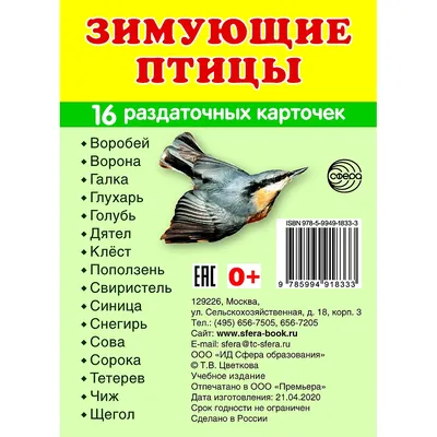 Центр интеллектуального развития "Пятое измерение" - Зимующие птицы  Прибайкалья