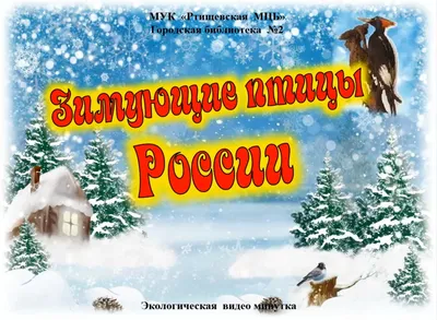 ТЕСТ. Зимующие птицы России: угадайте, кто на фото? - Телеканал «О!»