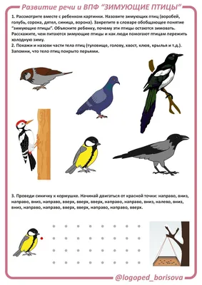 Конспект ООД по познавательному развитию в средней группе «Зимующие птицы»  (2 фото). Воспитателям детских садов, школьным учителям и педагогам -  Маам.ру