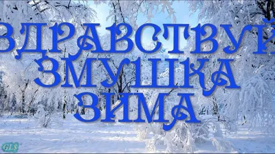 Здравствуй зимушка ЗИМА Красивой сказочной зимы Будьте счастливы друзья ...  | Музыкальные видео, Открытки, Видео