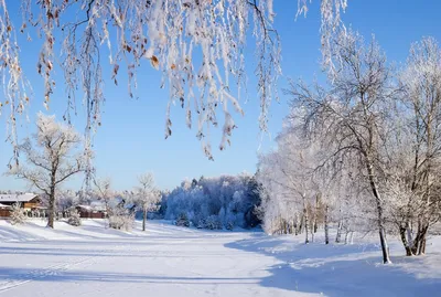 ❊ ❋ Зимушка - зима...❊ ❋ ~ Открытка (плейкаст)