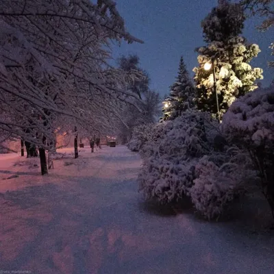 Деревня ночь зима | Winter pictures, Winter scenery, Night aesthetic