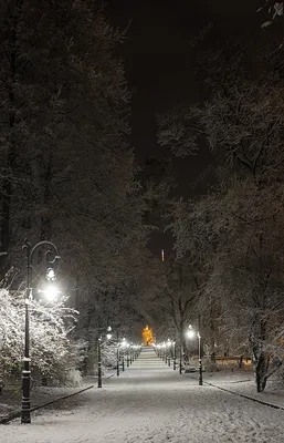 Зима поле ночь (54 фото) - 54 фото