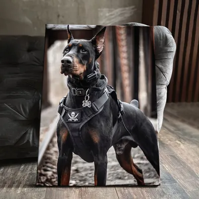 злой доберман - Поиск в Google | Doberman pinscher dog, Doberman pinscher,  Bad dog