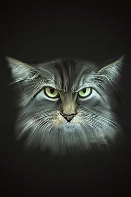 Злой кот» — создано в Шедевруме