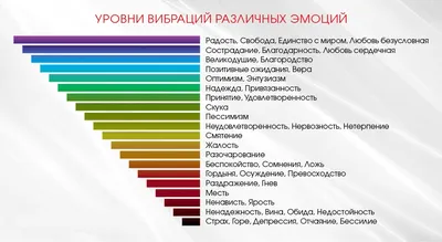 Обида и злость - это самый верный способ подарить свое время другому |  ПрокрастинаторFM™ | Дзен