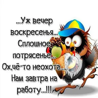 Кружка ROCKET с принтом "Angry Birds" Злые птички — купить в  интернет-магазине по низкой цене на Яндекс Маркете