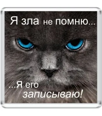 Футболка оверсайз «Бесите! Прикольная надпись. Злой еж. Мем» цвет белый -  дизайнер принта mnogoarta