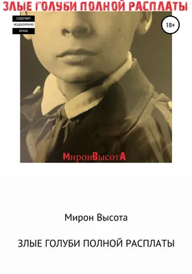 Проезжая по деревне, мы увидели на одной калитки надпись: "Осторожно, во  дворе злой петух" | Никулина - природа в картинках | Дзен