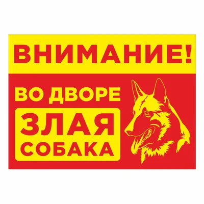 Зоография