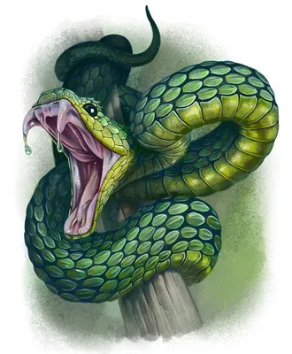 Голова змеи рисунок - 66 фото