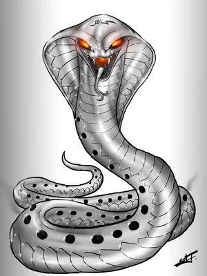 Переплетенный Рисунок Змеи — стоковая векторная графика и другие  изображения на тему Змея - Змея, Набросок, Векторная графика - iStock