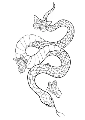 Змея Рисунок Чб (52 Фото)