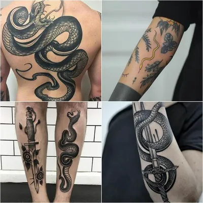 Тату змея - Мужские тату змея - Тату змея для мужчин - Эскизы тату змея |  Племенная татуировка, Тату, Женские татуировки