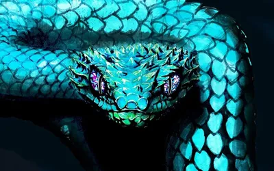 картинки : Рептилия, Фауна, Позвоночный, Саламандра, Нетоксичный, черный  желтый, Elapidae, Змея подвязки, Colubridae, Чешуйчатая рептилия, Боа,  Hognose Snake, Kingsnake, Молодая змея 3648x3000 - - 1242855 - красивые  картинки - PxHere