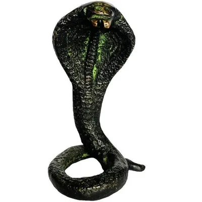 Западная змея Hognose на белом Стоковое Фото - изображение насчитывающей  болельщик, детально: 206471302
