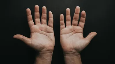 Линии на руке: что означают и как выглядят