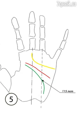 ЛИНИИ НА РУКЕ РАССКАЖУТ О ВАС - YouTube
