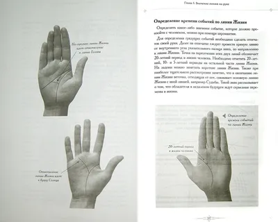 Хиромантия для начинающих: что означают линии на запястье - Оракул -  