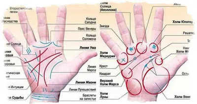 Линия жизни на руке - расшифровка с фото в хиромантии