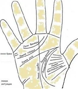 Линии на руке: фото, описание, расшифровка