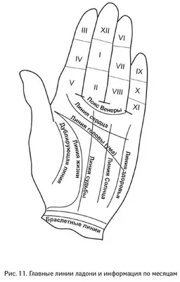 Хиромантия с разъяснениями: основные линии ладони и их толкование