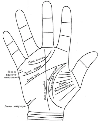 Как читать линии на руках: правила и особенности — Астрология