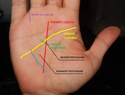 Все о знаках богатства на вашей ладони | it's true? | Дзен