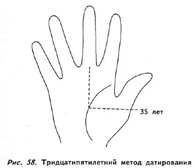 Ладонь (анатомия) — Википедия