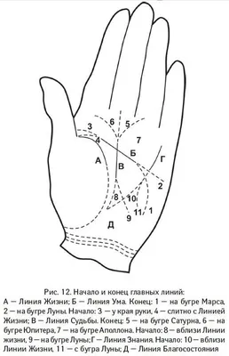 Как читать линии на руке? Значение, расшифровка линий, предсказание  будущего по ним + ФОТО | Нам интересно! | Дзен