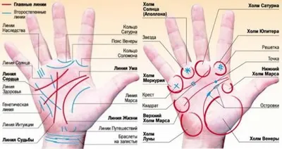 Хиромантия и хирология - «Отзыв бывшей хироманки. Как избавиться от  негативных предсказаний. Мои выводы о хиромантии. » | отзывы