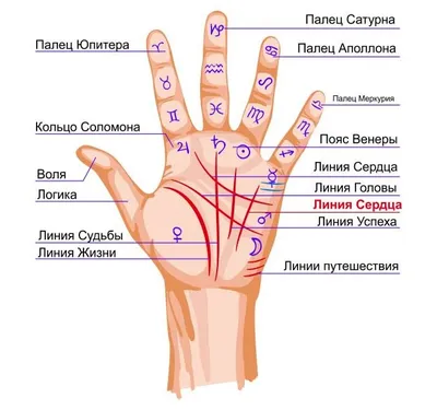 Что означают родинки на линиях Судьбы, Жизни, Сердца и других знаковых  местах на ладони | Лисичка | Дзен