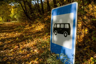 В Юго-Восточном округе перенесли несколько автобусных остановок -  Юго-Восточный Курьер - 4 мая - 43481064883 - Медиаплатформа МирТесен