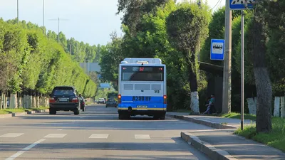 На пересечении Сибирской и Пушкина в Перми появится новая автобусная  остановка | «Новый компаньон»