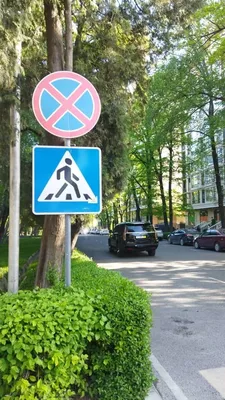 Дорожный знак "Остановка запрещена" появился на бульваре Эркиндик