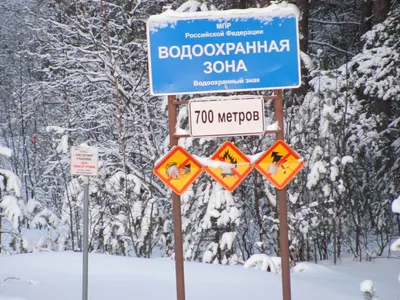 Водоохранные зоны, сравниваем как было в СССР и сейчас, где закон был  суровее | РЫБАЛКА С МИХАЛЫЧЕМ | Дзен