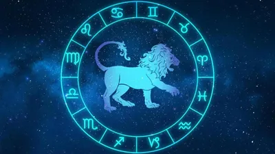 Знак зодиака Лев: описание знака, совместимости, рейтинг персон