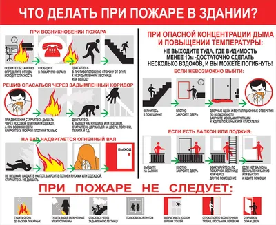 Материально-техническое обеспечение и оснащённость образовательного  процесса | Муниципальное бюджетное учреждение дополнительного образования  "Детский эколого-биологический центр" г. Колпашево