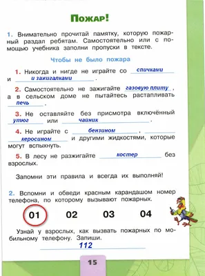 ГДЗ по окружающему миру 2 класс Соколова (рабочая тетрадь к учебнику  Плешакова) на ЛОЛ КЕК