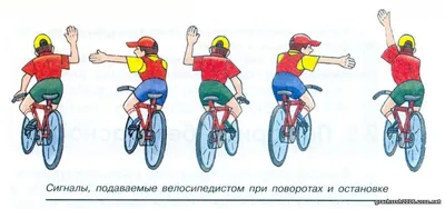 правила поведения велосипедиста на дороге
