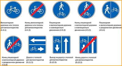 10 правил для велосипедистов, в которые трудно поверить – DW – 