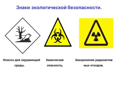 Что такое экологическая маркировка и как ее интерпретировать? - Портал  Продуктов Группы РСС