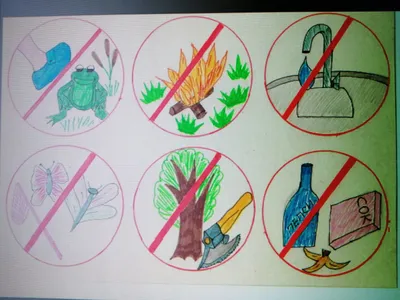 Экологические знаки в картинках для детей большие - 61 фото
