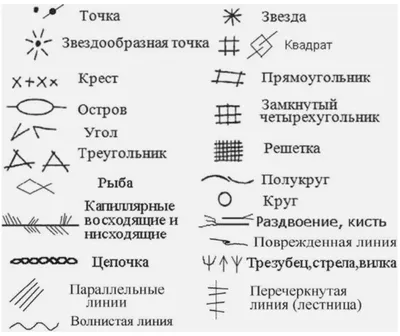 Толкование редких знаков на руке в хиромантии | Лисичка | Дзен