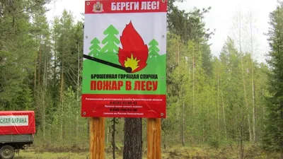 Около деревни Соснино сотрудники лесной охраны сняли с деревьев 30  незаконно размещенных рекламных объявлений