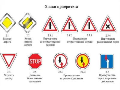 Изменения в ПДД для водителей с  - штрафы, знаки, особые  правила для СИМ