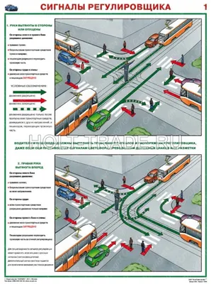 Сигналы регулировщика: фото, значение и как разобраться :: Autonews